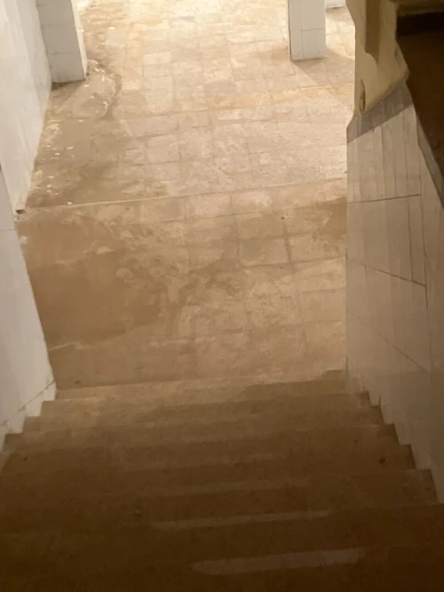 Location Local Sidi Bel Abbès Sidi bel abbes