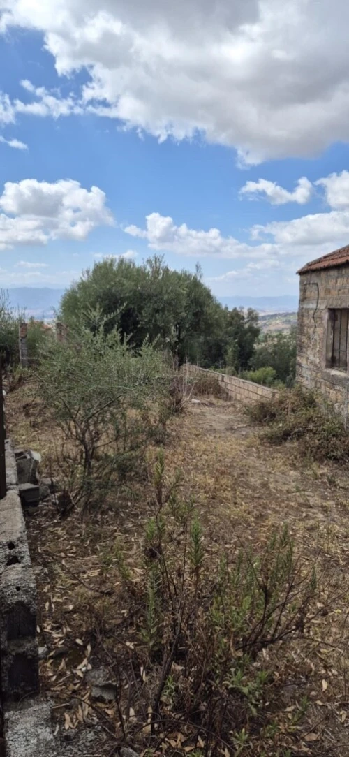 Vente Terrain Tizi Ouzou Freha