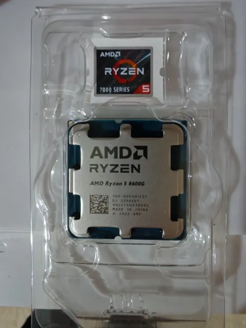 Amd ryzen 5 8600G