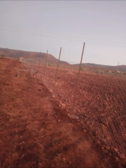 Vente Terrain Agricole Tlemcen Oued chouli