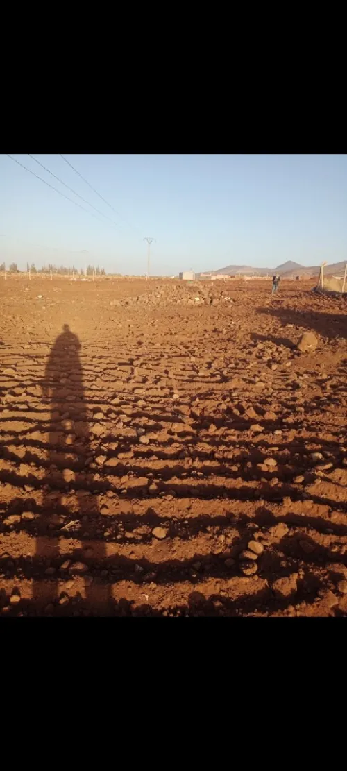 Vente Terrain Agricole Tlemcen Oued chouli