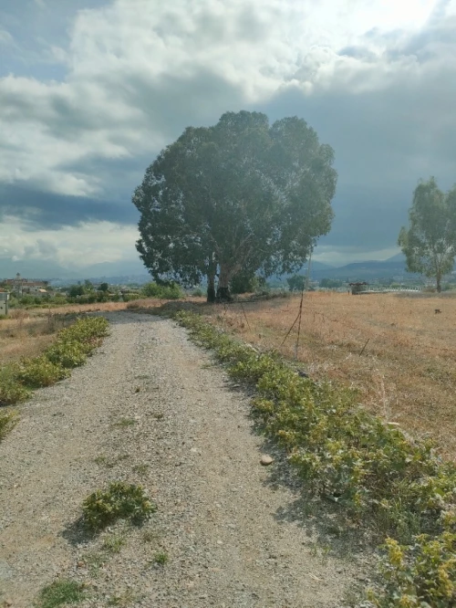 Vente Terrain Jijel Emir abdelkader