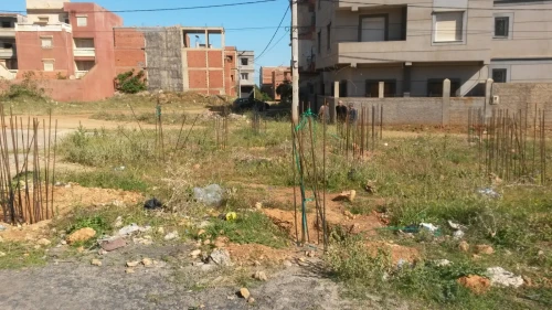 Vente Terrain Tipaza Bou ismail