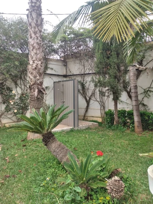Location Villa Alger Dely brahim