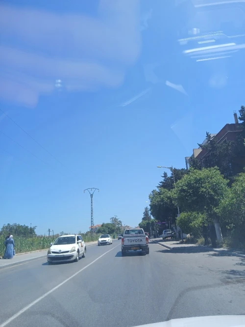 Location Local Alger Staoueli