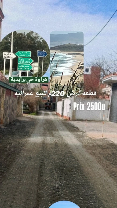 Vente Terrain Alger Hraoua 2