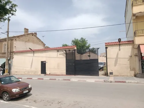Vente Terrain Blida Boufarik