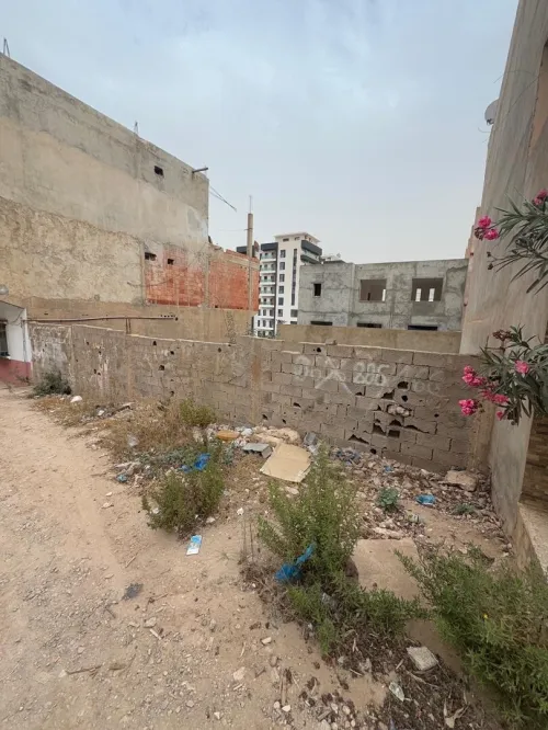 Vente Terrain Oran Bir el djir