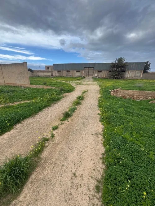 Vente Terrain Oran Bir el djir
