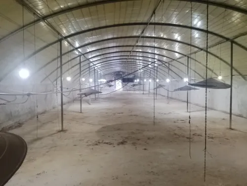 Vente Hangar - Usine Béjaïa Seddouk