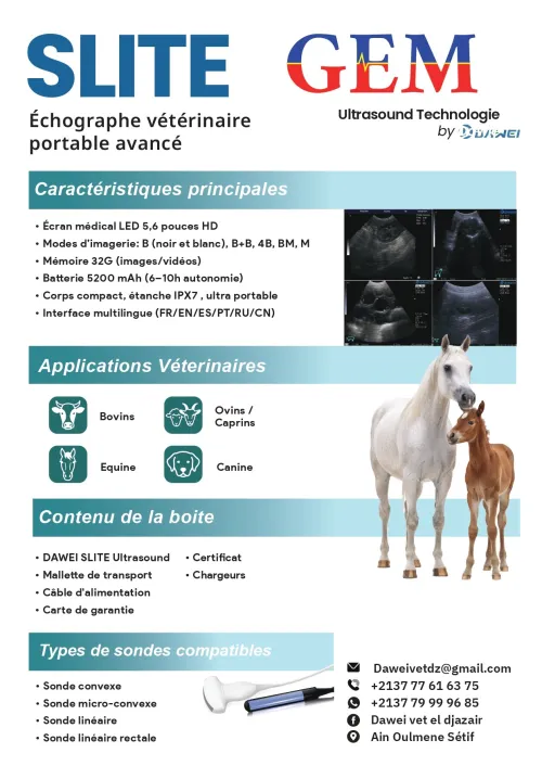 Échographe Vétérinaire Portable Dawei SLITE  Haute Qualité + Garantie