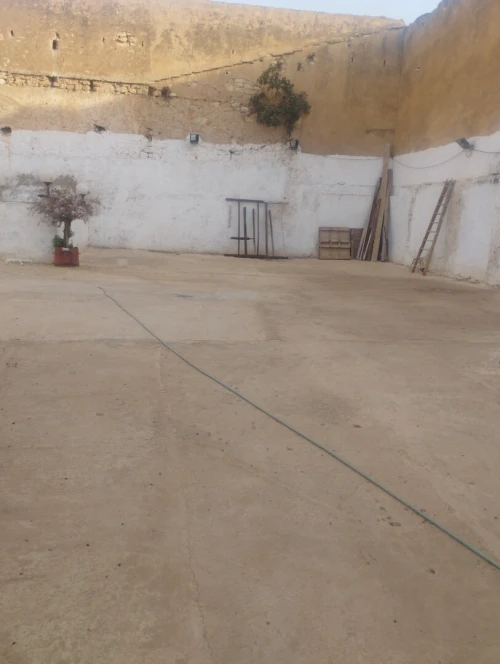 Vente Terrain Mostaganem Stidia