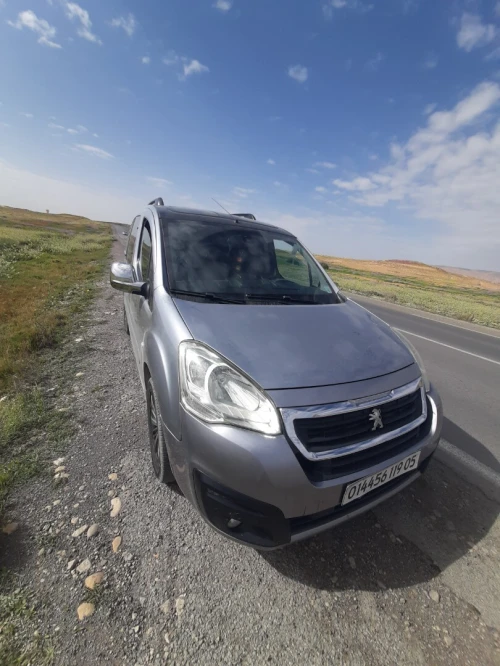 Peugeot TEPEE 2019 ALLURE