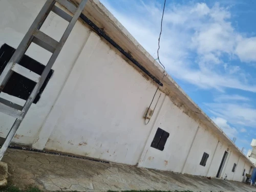 Vente Hangar Guelma Nechmaya