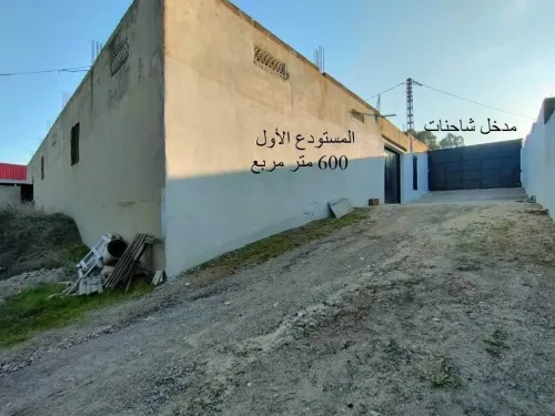 Vente Hangar Guelma Nechmaya