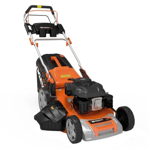 Tondeuse a Gazon ESSENCE  DLM5300sp