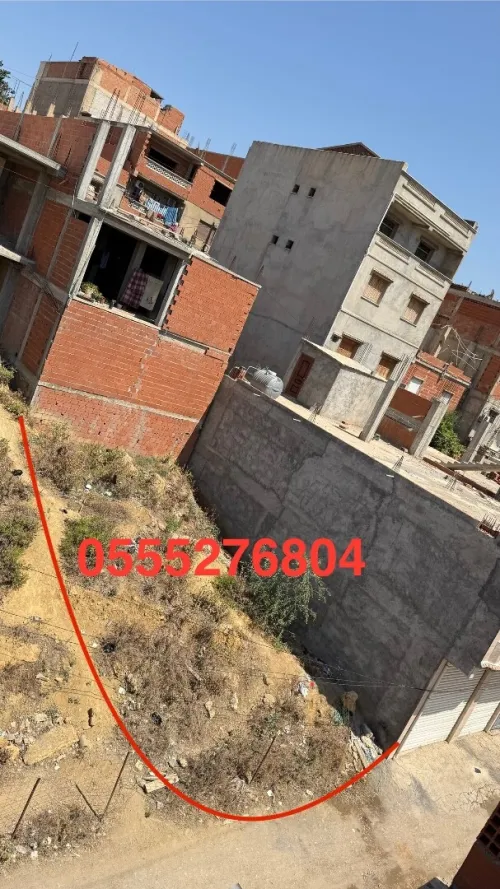 Vente Terrain Alger Zeralda
