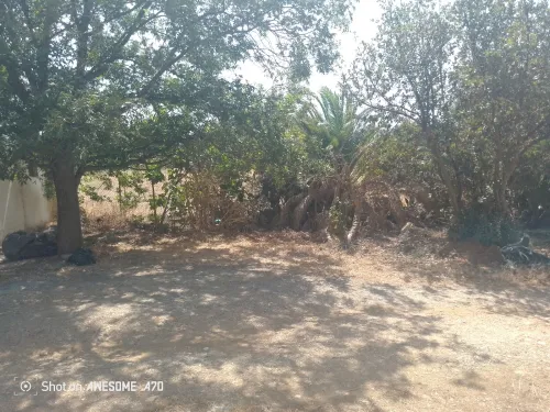 Vente Villa Alger Bir mourad rais