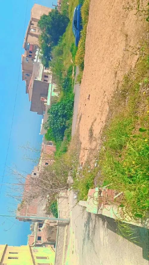 Vente Terrain Tipaza Fouka