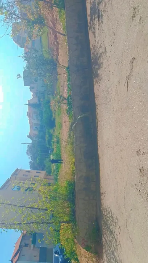 Vente Terrain Tipaza Fouka