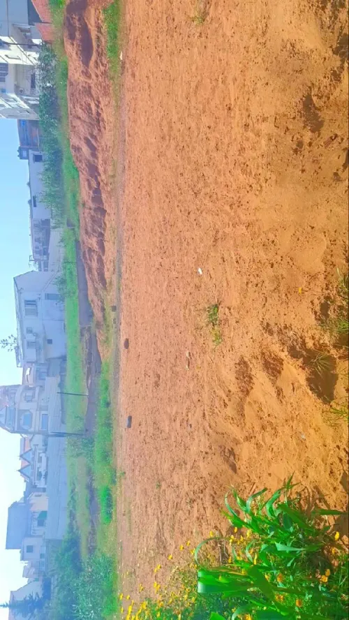 Vente Terrain Tipaza Fouka
