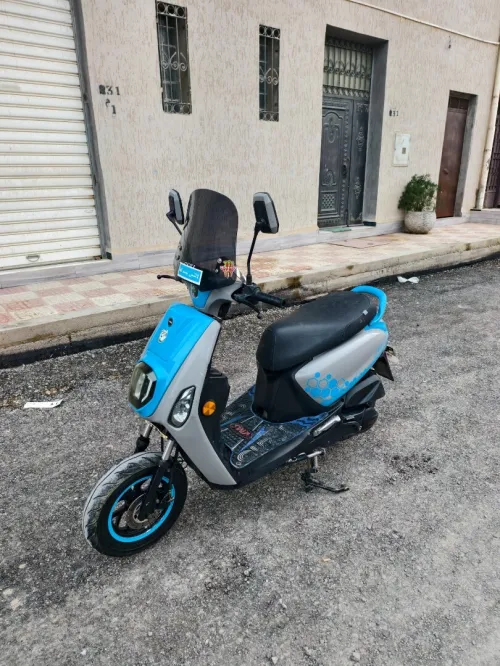 Vms Estate 125 2023