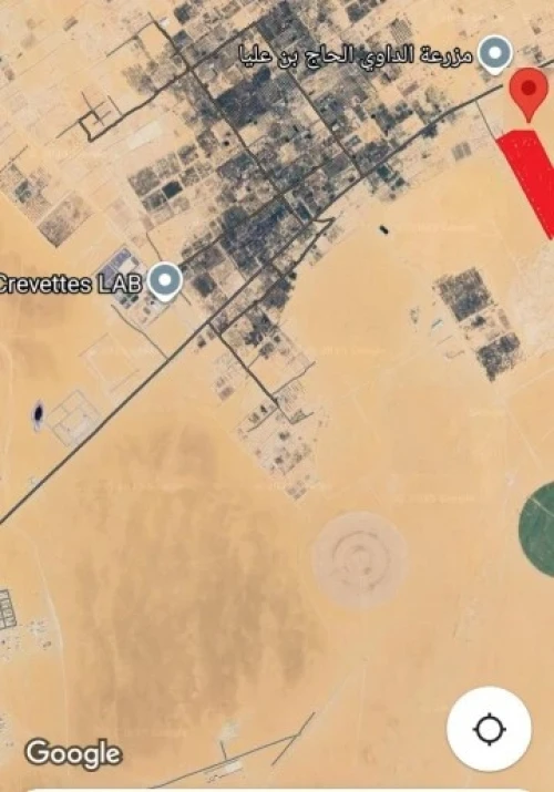 Vente Terrain Agricole Ouargla Hassi ben abdellah