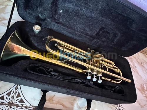 Trompette professionnel 