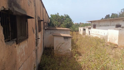 Vente Terrain Tipaza Bou ismail