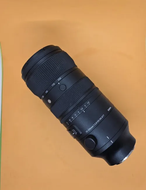 [Sony] Sigma 70-200mm f/2.8 DG DN OS