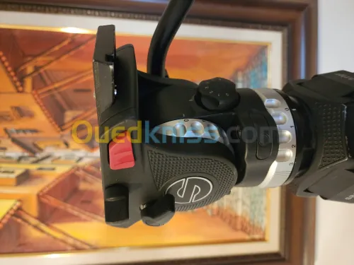 Sachtler System ACE L 