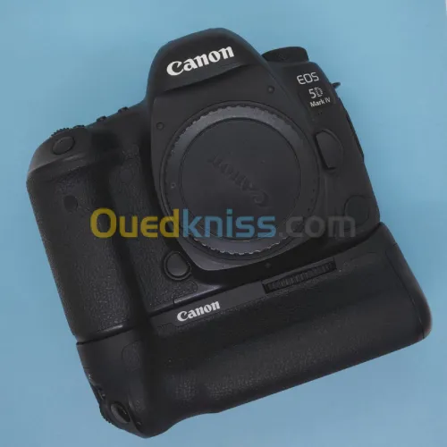 Canon EOS 5D Mark IV [80K]