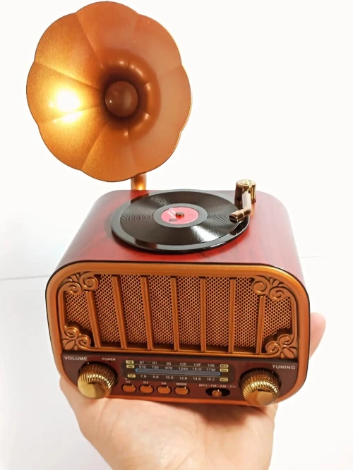 Radio Vintage Gramophone