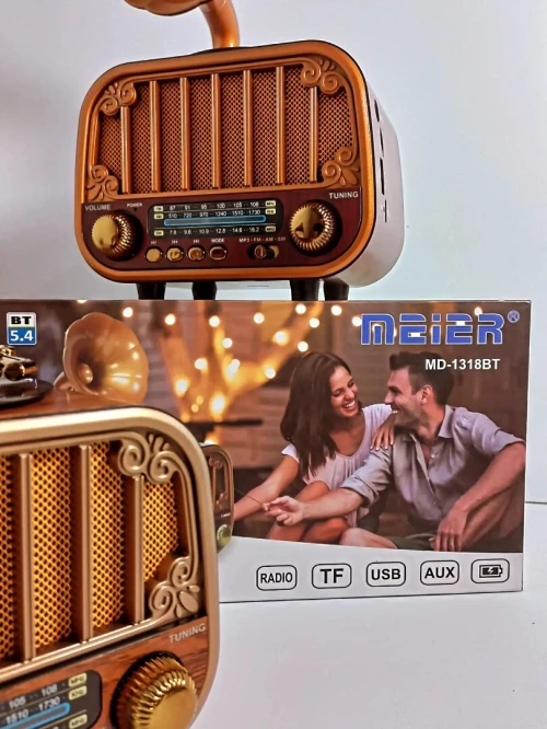 Radio Vintage Gramophone