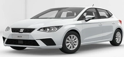 Prestation VIP Multivan Volkswagen Gris Dauphin 2023 (Essence Hybride)