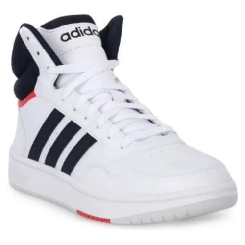 Adidas paladium