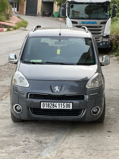Peugeot Partner 2015 Tepee