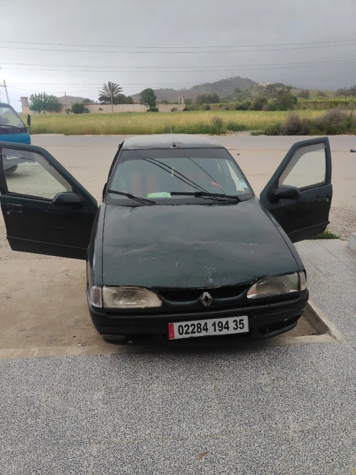Renault R19 1994 R19