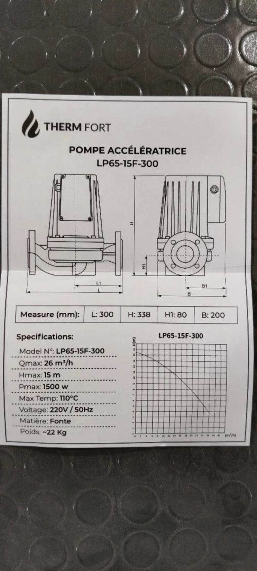 Pompe Accélérateur THERM FORT 65 À Bride 12M/300 ET 15M/300
