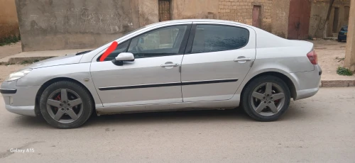 Peugeot 407 2005 407