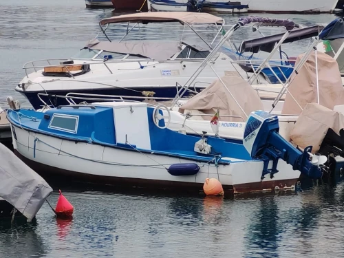 *À VENDRE : Embarcation pêche plaisance 5m20 + Suzuki 40cv
