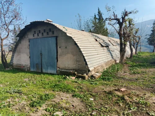 Location Hangar - Usine Tizi Ouzou Tizi rached