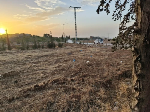 Vente Terrain Tlemcen Mansourah