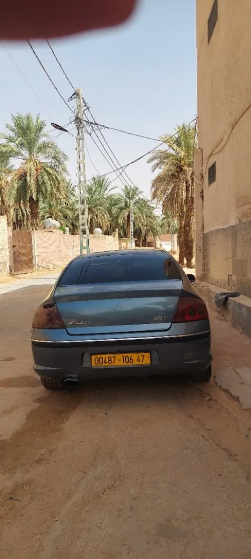 Peugeot 407 2006 407