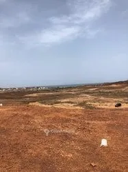 Vente Terrain Tlemcen Souahlia