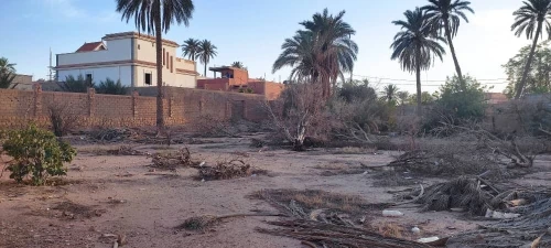 Vente Terrain Laghouat Laghouat