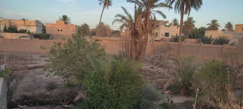 Vente Terrain Laghouat Laghouat