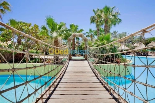 Voyage Organisé en Egypte Combiné Caire Sharm El Sheikh. 