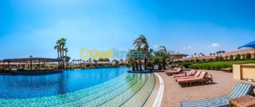 Voyage Organisé en Egypte Combiné Caire Sharm El Sheikh. 