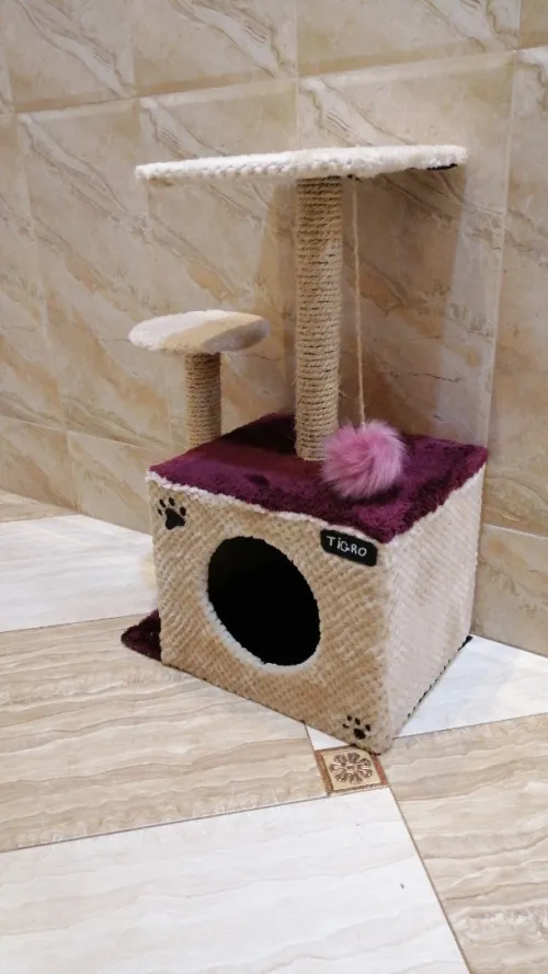 Arbre à chat 